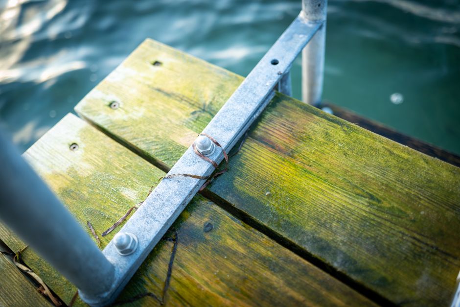 Eichbaumsee erneut wegen Blaualgen gesperrt.