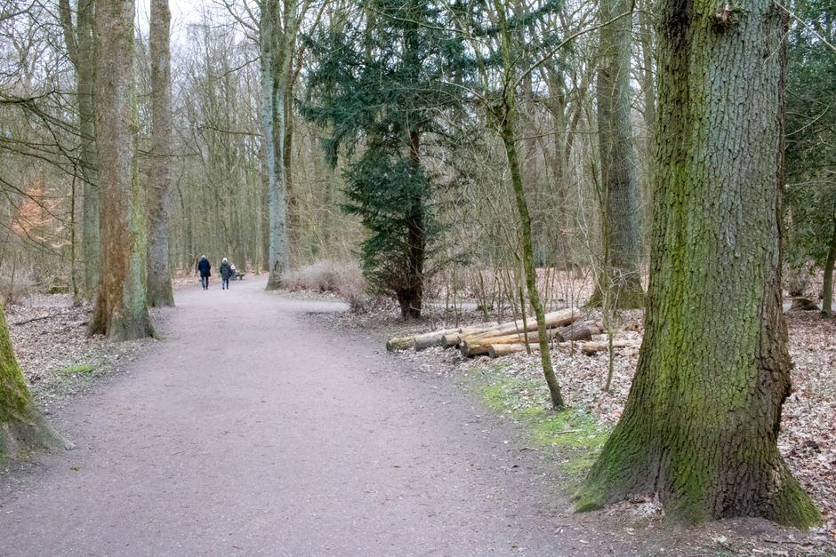 Kriminalfall am Alsterwanderweg: Tat geschah Tage vor Fund.