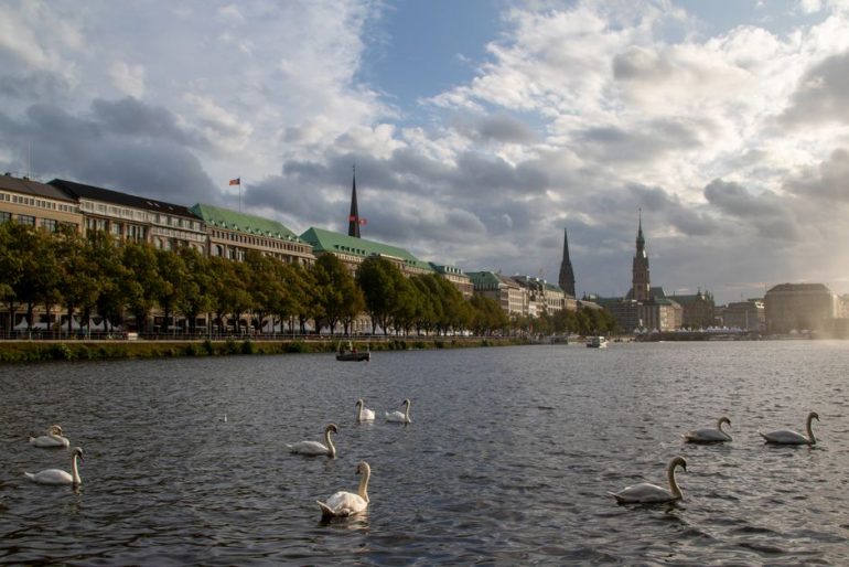 Hamburgs Schwanenvater mit turbulentem Jahr für die Alsterschwäne.