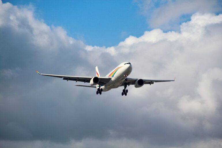 Flugzeug kehrt nach Vogelschlag zum Hamburg Airport zurück.
