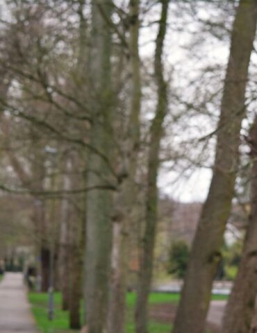 Bramfeld: Mann belästigt neunjähriges Mädchen auf offener Straße.