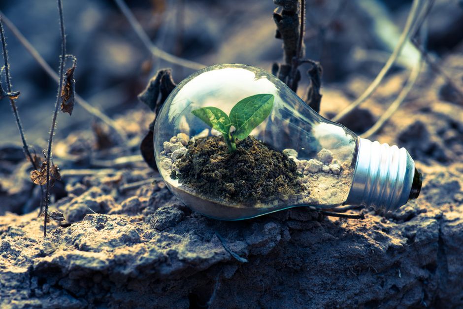Staatssekretär Jochen Flasbarth wechselt zu einflussreicher Klimastiftung.